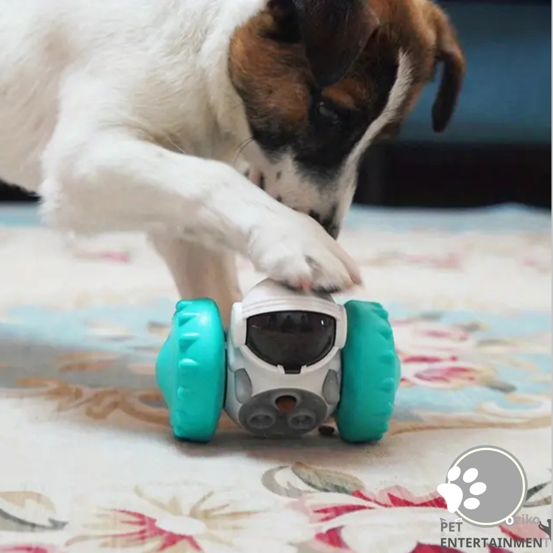 Interactive Treat Puzzle Dog Toy
